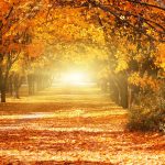 health tips for autumn and winter abkj lawyers